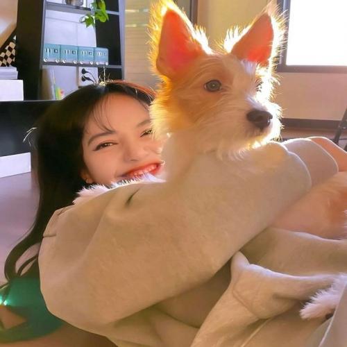 陈雷 - 欢喜就好(Dj晓勇 Electro Mix闽南语)