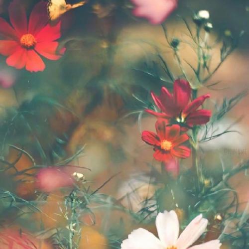 赣州Dj虔仔-全国语Electro音乐别说我的眼泪你无所谓专辑串烧