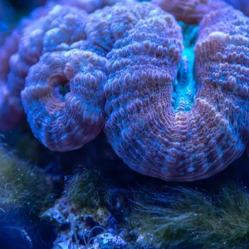 DjIUaena-全粤语Prog音乐一些好日子一直在怀念慢摇串烧